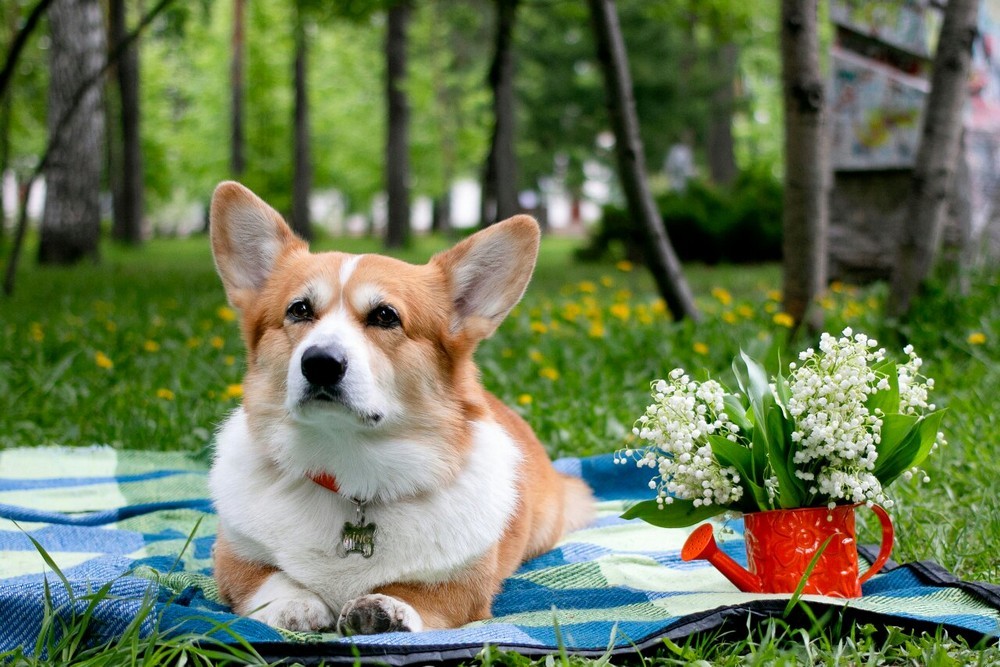 На прогулке