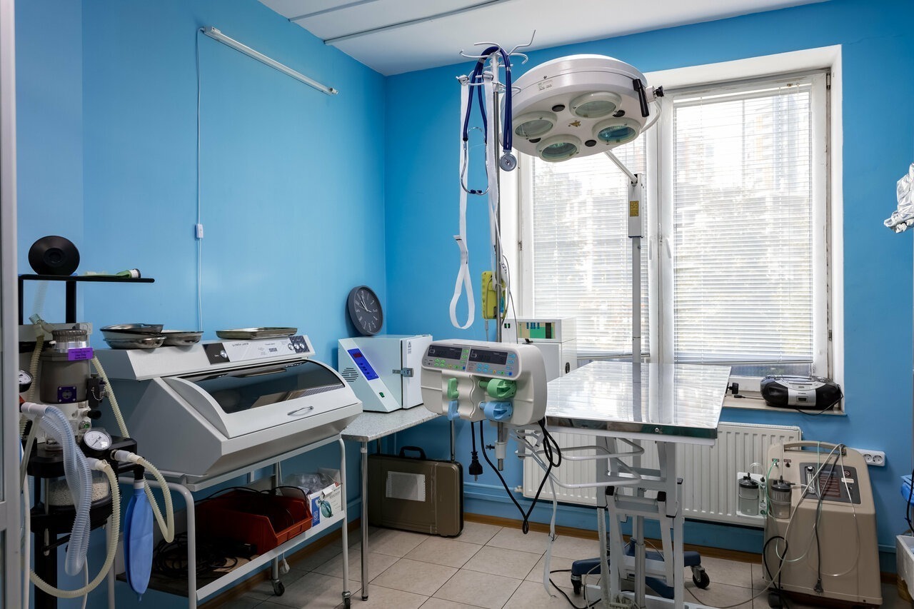 клиники метро царицыно. клиники столицы нальчик. клиники метро царицыно. медицинский центр трит на кантемировской. стоматология метро кантемировская.