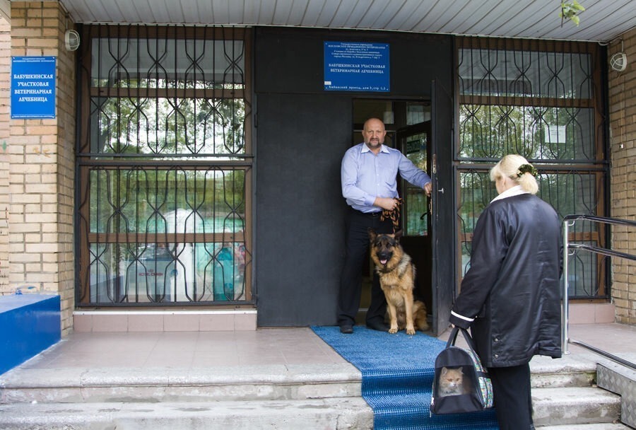 Государственная ветклиника. Ветеринарная клиника на Хибинском. Хибинский проезд 2 ветклиника. Хибинский проезд ветеринарная клиника государственная. Ветеринарная клиника СВАО Бабушкинская.