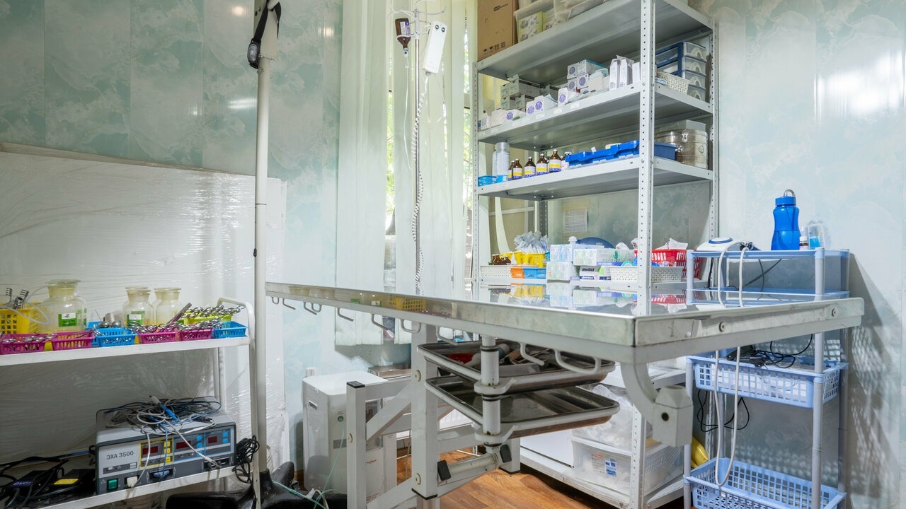 альтернатива вет отзывы