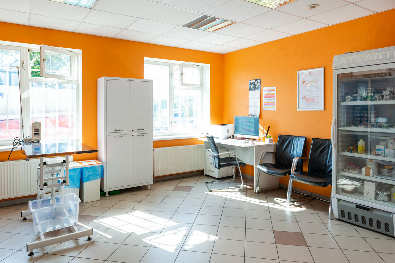 питомец ул свердлова 16 щелково отзывы. питомец ул свердлова 16 щелково отзывы. щелково). питомец ветеринарная клиника ул. ветеринарная клиника питомец щелково 7.