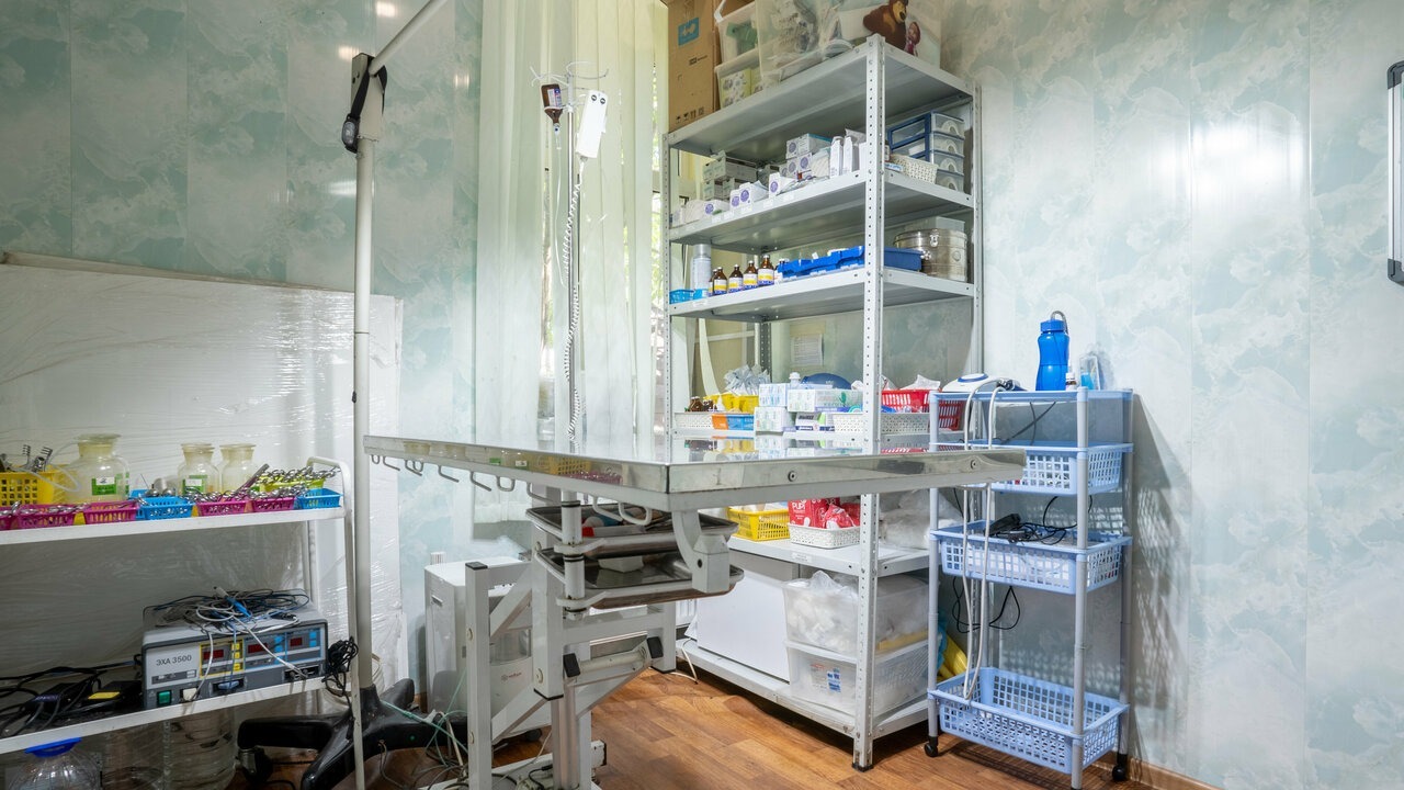 альтернатива балашиха. альтернатива вет самара ветклиника. альтернатива балашиха. альтернатива балашиха. ветеринарная клиника альтернатива новосибирск.